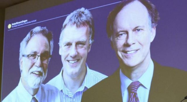 Le Nobel de médecine à trois scientifiques pour la découverte du virus de l'hépatite C