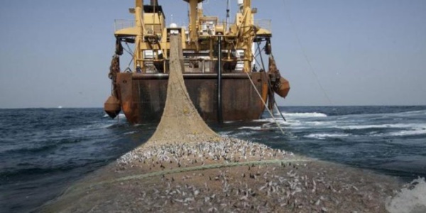 Sénégal-Union européenne: les chiffres du protocole d'accord sur la pêche 2019-2024 (Document)