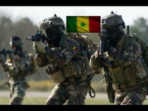 « Falémé 20 » : l’armée sénégalaise en manœuvres à l’est du pays