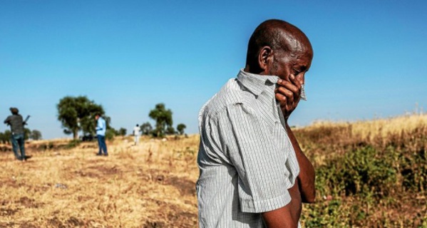 Éthiopie : Des hommes armés tuent «plus de 100 personnes» Éthiopie : Des hommes armés tuent «plus de 100 personnes»