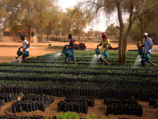 Défi climatique: comment les syndicats peuvent-ils accompagner les efforts du Sénégal dans sa transition énergétique ? (Equaltimes)