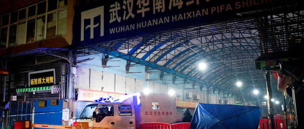 Origine du coronavirus : L'accident de laboratoire, thèse «extrêmement improbable», selon l'OMS Origine du coronavirus : L'accident de laboratoire, thèse «extrêmement improbable», selon l'OMS