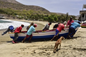Sur une plage de l'île démocratique Sur une plage de l'île démocratique