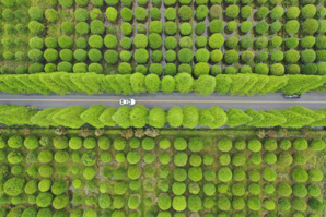 Pourquoi la Chine élabore-t-elle les plans quinquennaux ? (Le Quotidien du peuple)