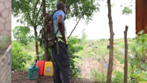 Amadou Koné, ancien militaire devenu le premier maraîcher bio de Côte d’Ivoire Amadou Koné, ancien militaire devenu le premier maraîcher bio de Côte d’Ivoire