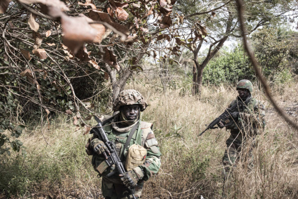 Casamance : L’armée sénégalaise annonce des échanges de tirs entre militaires et individus armés