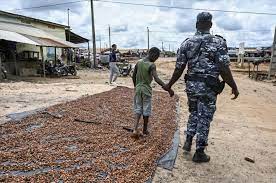 22 Ivoiriens condamnés pour traite d’enfants dans le cacao