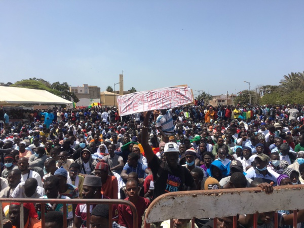 Image d'illustration Image d'illustration