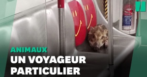 (Photo Huffington) (Photo Huffington)