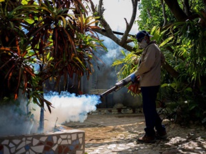 Le paludisme officiellement éradiqué en Chine