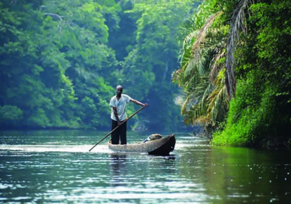 RDC: un grand parc africain retiré de la liste du patrimoine mondial en péril RDC: un grand parc africain retiré de la liste du patrimoine mondial en péril