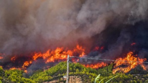 Incendies en Grèce : les pompiers combattent deux nouveaux feux de forêt Incendies en Grèce : les pompiers combattent deux nouveaux feux de forêt