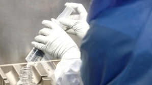 Covid-19 en Afrique du Sud : le C.1.2, ce nouveau variant qui inquiète les scientifiques Covid-19 en Afrique du Sud : le C.1.2, ce nouveau variant qui inquiète les scientifiques