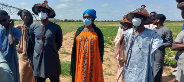 Les responsables du WAQF visitant un projet agricole à Dabia (Matam) Les responsables du WAQF visitant un projet agricole à Dabia (Matam)