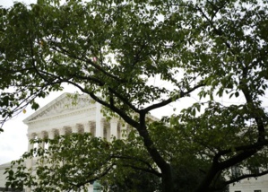 États-Unis : l’infiltration d’une taupe du FBI dans une mosquée devant la Cour suprême