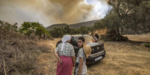 Maroc - De violents feux de forêt font un mort, des centaines de familles déplacées Maroc - De violents feux de forêt font un mort, des centaines de familles déplacées
