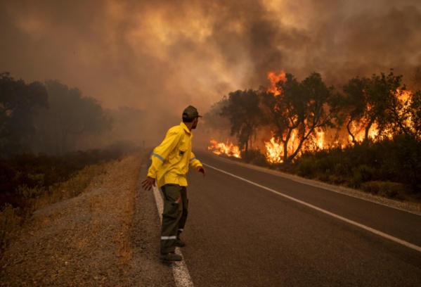 Maroc: des renforts pompiers et militaires pour maîtriser les feux de forêt