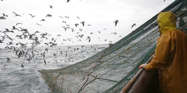 Pêche: l'UE ferme une partie de l'Atlantique au chalutage en eau profonde Pêche: l'UE ferme une partie de l'Atlantique au chalutage en eau profonde