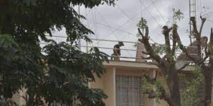 Burkina Faso : la présence militaire française en sursis Burkina Faso : la présence militaire française en sursis