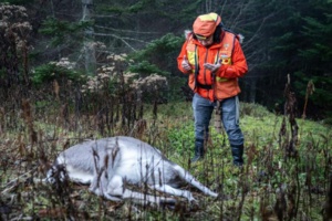 Au Japon, les descendants des peuples autochtones se réapproprient leur identité Au Japon, les descendants des peuples autochtones se réapproprient leur identité