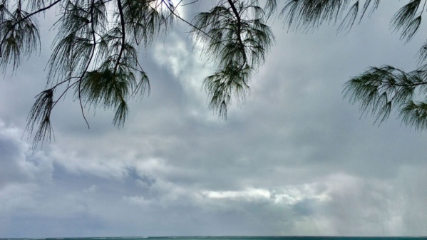 L'île Maurice balayée par les pluies à l'approche d'un cyclone prénommé Freddy
