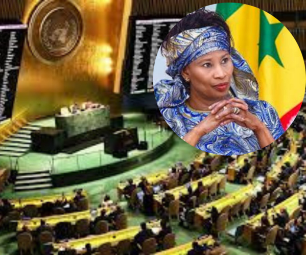 En médaillon, la ministre des Affaires étrangères du Sénégal, Mme Aïssata Tall Sall