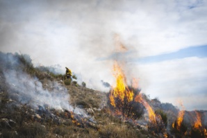 Image d'illustration Image d'illustration