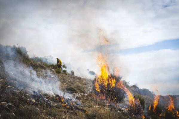 En Algérie, au moins 34 morts, dont 10 militaires, après des incendies qui ont sévi dans le nord du pays