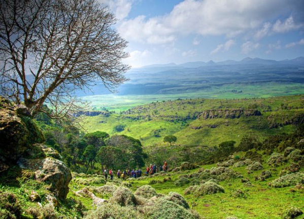 Ethiopie : l'UNESCO inscrit le Parc national des monts Balé au patrimoine mondial