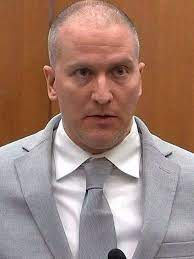 Le policier Derek Chauvin