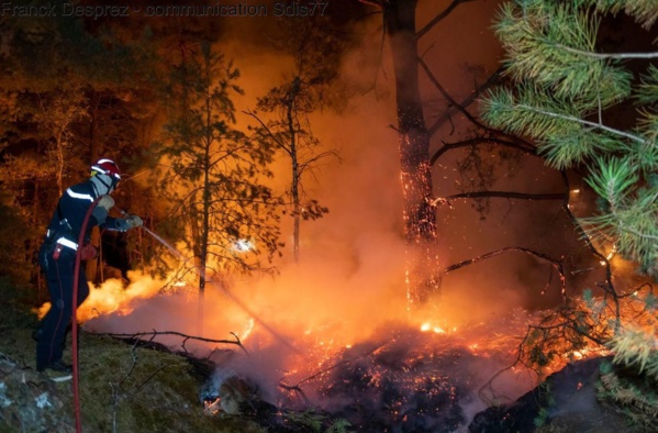 La saison des incendies se prépare dès l'automne La saison des incendies se prépare dès l'automne