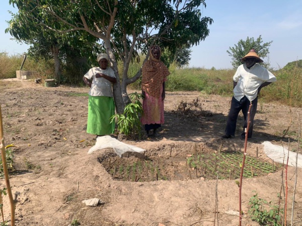 Lamine  Biaye en compagnie de deux femmes  dans leur périmètre agroécologique à Djimini (sud Sénégal)