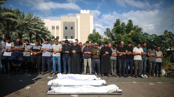 Ministère de la Santé à Gaza : Le bilan des victimes de l'agression israélienne s'alourdit à 17 487 tués Ministère de la Santé à Gaza : Le bilan des victimes de l'agression israélienne s'alourdit à 17 487 tués