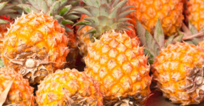 Côte d'Ivoire : le taux d'exportations d'ananas a chuté de 27% par rapport à la campagne précédente en 2023 (FAO) Côte d'Ivoire : le taux d'exportations d'ananas a chuté de 27% par rapport à la campagne précédente en 2023 (FAO)