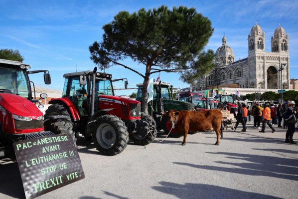 Manifestation d’agriculteurs dans le centre de Marseille Manifestation d’agriculteurs dans le centre de Marseille