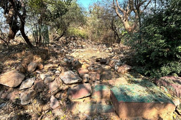 Inde - Des sites du patrimoine islamique rasés au nom du développement de Delhi