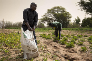 Photo d'illustration