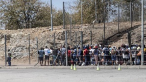 Afrique australe: Amnesty international pointe les abus contre les commerçantes transfrontalières Afrique australe: Amnesty international pointe les abus contre les commerçantes transfrontalières