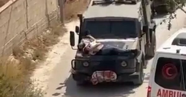 Cisjordanie occupée - Des soldats israéliens attachent un Palestinien blessé par balle sur un véhicule militaire Cisjordanie occupée - Des soldats israéliens attachent un Palestinien blessé par balle sur un véhicule militaire