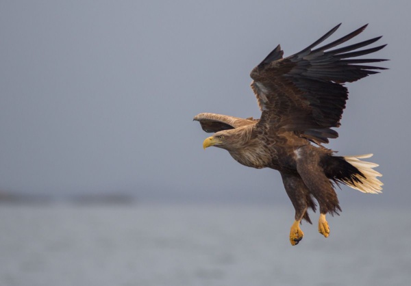 Image d'illustration Image d'illustration