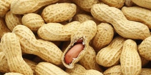 Marché de l’arachide : le chef de l’Etat souhaite une « méthode d’intervention » inclusive Marché de l’arachide : le chef de l’Etat souhaite une « méthode d’intervention » inclusive