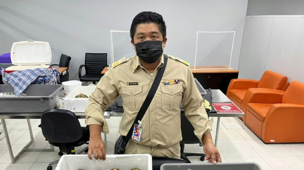 Interpol annonce le démantèlement d'un réseau de trafiquants de tortues protégées Interpol annonce le démantèlement d'un réseau de trafiquants de tortues protégées