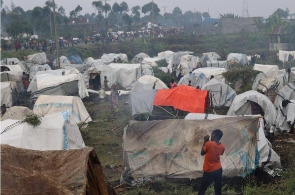 RD du Congo - À Goma, les déplacés commencent à rentrer chez eux RD du Congo - À Goma, les déplacés commencent à rentrer chez eux