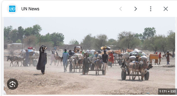 Selon une ONG, huit des dix pires crises de déplacements les plus négligées au monde sont en Afrique