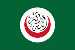 Le drapeau de l'Organisation de la Coopération Islamique (OCI)