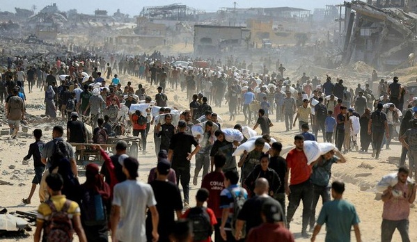 73 civils palestiniens affamés massacrés dimanche par Israël dans le nord de Gaza 73 civils palestiniens affamés massacrés dimanche par Israël dans le nord de Gaza