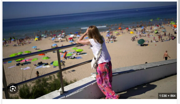 Canicule au Portugal : 264 morts en une semaine