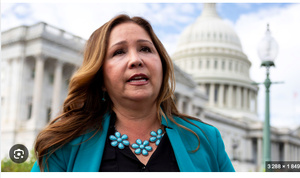 La démocrate Adelita Grijalva La démocrate Adelita Grijalva