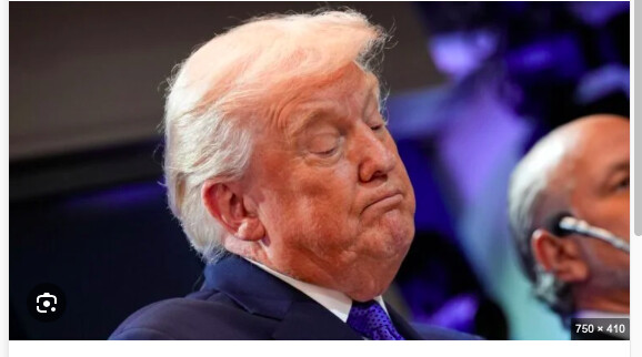 Donald Trump, président des Etats-Unis d'Amérique