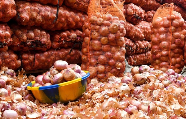 Le gouvernement suspend la vente de l’oignon provenant des ‘’agro-business’’, jusqu’au 1er juin 2026 Le gouvernement suspend la vente de l’oignon provenant des ‘’agro-business’’, jusqu’au 1er juin 2026